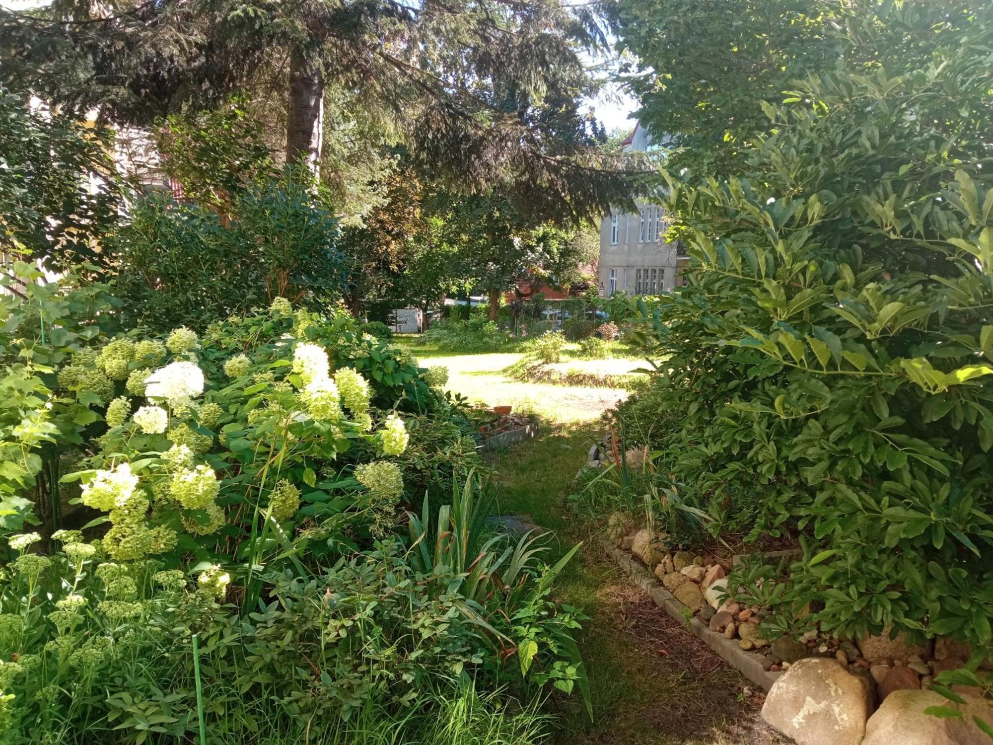Homestay Sloneczny Na Kossaka